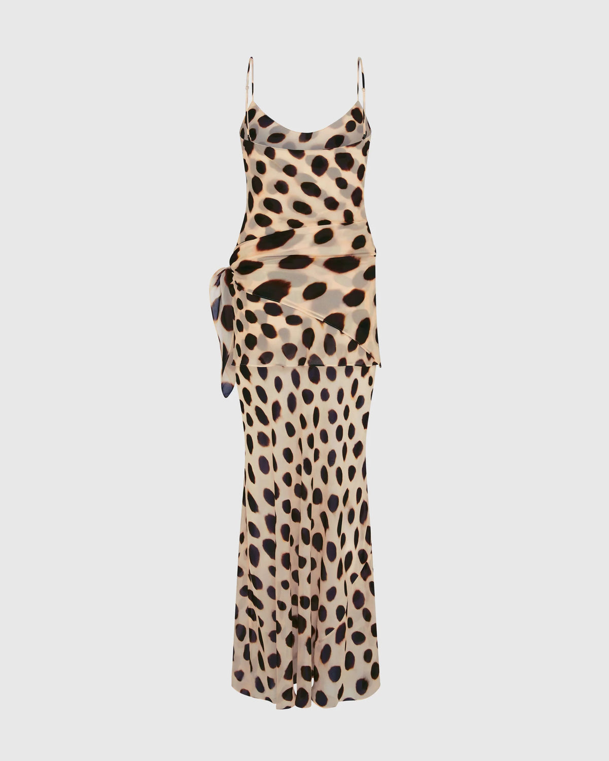 Rat and Boa Ozias Maxi