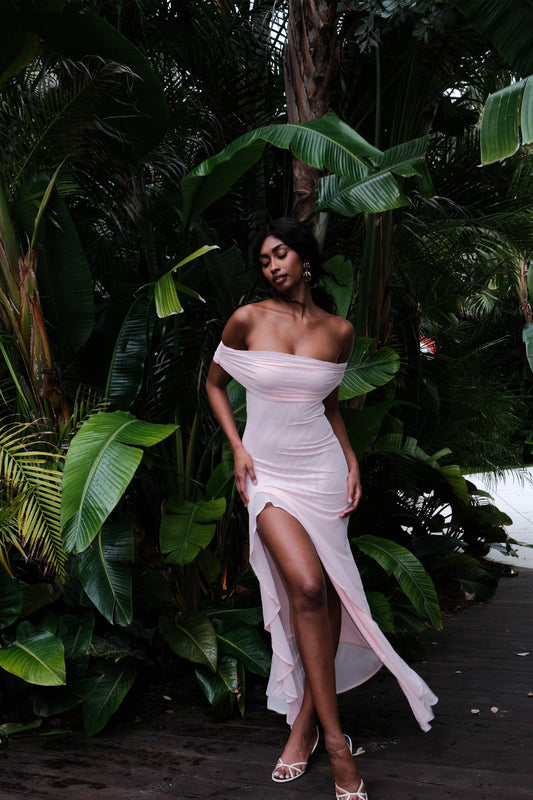 Audrey Off Shoulder Mesh Maxi Dress | Pale Pink